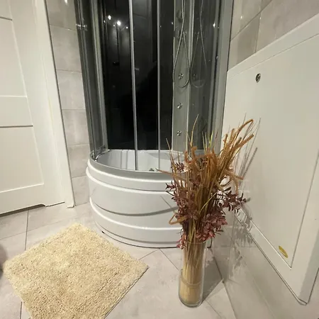 Apartament Kosciuszko 公寓 *